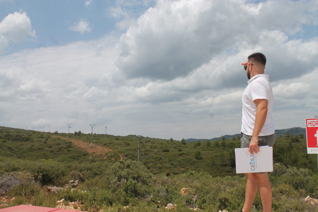 Conservación del arbolado Geolat