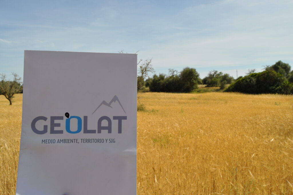 Estudio integración paisajística comunidad valenciana Geolat