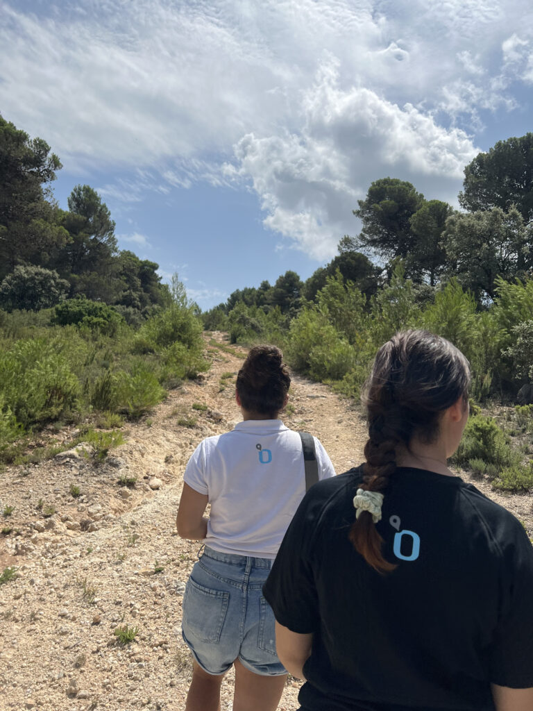 Plan de Gestión de Caminos Rurales